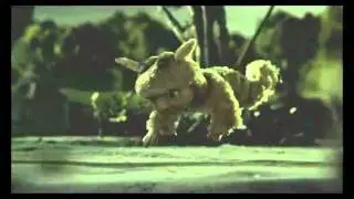 Animal / Elukka part 3/3