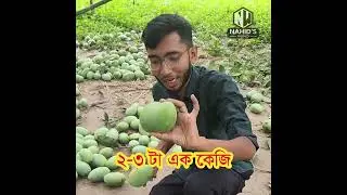 ফজলি আম Nahid World #onlineshopping #mango