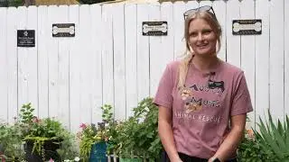 Mostly Mutts: volunteer & TikTok manager Claudia