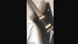 Dimebag signature series misprint