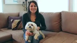How to be a responsible pet owner