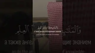 Мухаммад Аль-Люхайдан. #чтец #мухаммад #рек #влог #рек #islam #youtubeshorts #vlog #кавказ #shorts