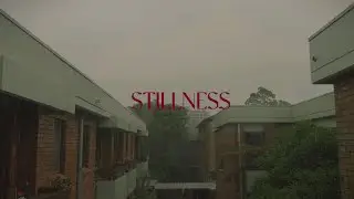 Stillness | Shot on iPhone 17 pro max