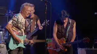 Wild Romance - Rock & Roll Junkie