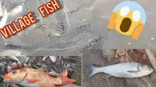 Village | Fish | Catching | Part:-2  (Dangerous Snake 🐍🐍)