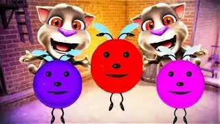 Мой Talking Cat Funny | Говорящий Том и друзья | видео для детей Часть 5 | Kids - TVN - Baby
