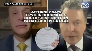 New Epstein documents raise questions about Palm Beach plea deal's leniency