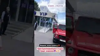 Даша, Гусейн, Динат, Диана они в Кыргызстане