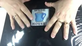 Introduction to the house mouse collaboration 2019 with crafty bean !