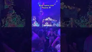 Crazy vibes at Boom Festival 2025 with Starlab  #psyzone