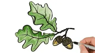 How to Draw Acorn and Oak Leaf | Watercolor &  Ink Drawing, Painting Tutorial