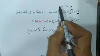 التوكيد| المنهج الجديد| المحاضرة الأخيرة| جميل الحسن