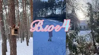 Влог 4 / Жизнь за городом / Ищу работу / ИИ выбирает за меня вакансии? 