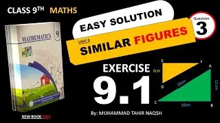 Class 9 Math Unit 9 Similar Figures | Exercise 9.1 Question 3 | New Syllabus 2025 (Punjab Boards)
