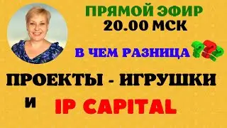 INTELLIGENCE PRIME CAPITAL И ПРОЕКТЫ - ИГРУШКИ  В ЧЕМ РАЗНИЦА ?