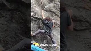 Gina Wild 6c, Magic Wood