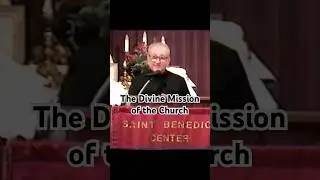 Brother Francis on the Divine Mission of the Catholic Church #catholicteaching #brotherfrancis