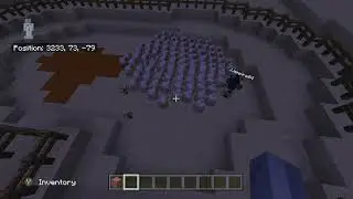 Chicken Attack