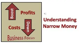 Understanding Narrow Money