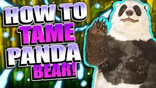 Taming A PANDABEAR! Ultimate Direbear Guide | ARK Survival Ascended!