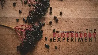 Brewing Elderberry Mead and Wine 5 Different Ways - Part 1