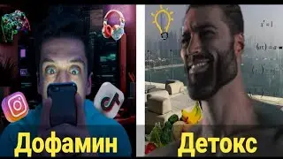 Дофамин или Детокс: как побороть лень и вернуть радость жизни