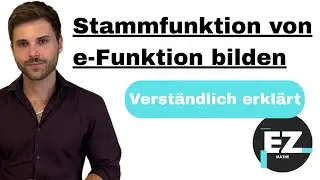 Stammfunktion von e-Funktion bilden | Verst&auml;ndlich erkl&auml;rt