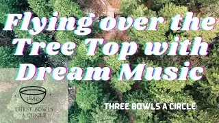 Flying over the Tree Top with Dream Music