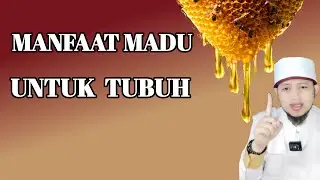 BENEFITS OF HONEY FOR THE BODY