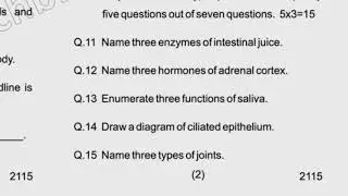 2019 Pharmacy 1st Year Human Anotony & Physiology Question Paper