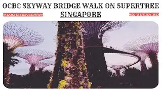 Supertree Grove - Gardens by the Bay Singapore - OCBC Skyway Bridge Walk [ 4K HD ] Garden Rhapsody