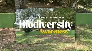BIO091 Biodiversity Awareness - Paya Indah Discovery Wetlands S60 G5