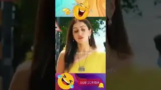 Comedy Scenes In Telugu... Mazaka Movie Scenes Comedy In Telugu