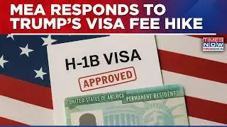 MEA Reacts To Trump's H-1B Visa Fee Strike On India, Cites 'Humanitarian Consequences' | US