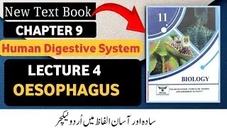 Class 11 Biology New Book 2025 | Chapter 9 Human Digestive System | Oesophagus | Lecture 4