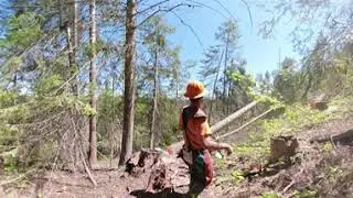 Mahon Logging Workforce Development Council 360&deg; #AmGrad