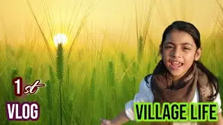 Tubewell Swimming in Village| Tubewell Bathing | 76 GB | Faisalabad