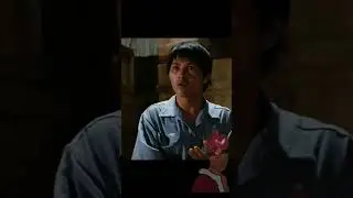Bruce Lee Nunchaku