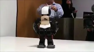 Humanoid Robot