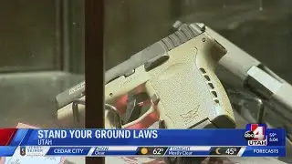 Stand Your Ground Laws