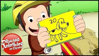 Jorge el Curioso en Español 🐵Jorge Compra un Papalote 🐵 Capitulos completos del Mono Jorge