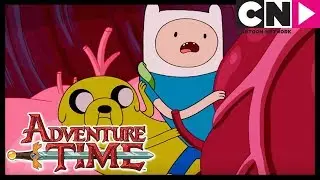 Hora de Aventura | La Panza De La Bestia | Cartoon Network