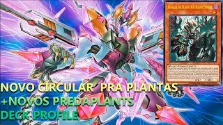 A konami fez predaplant ficar semi funcional com o circular novo , Predaplant deck profile (EDOPRO)