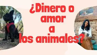 El gran negocio veterinario en Barcelona!!