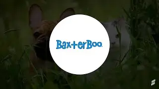 Searchspring Case Study | BaxterBoo