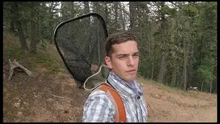Fly Fishing a little Pecos Wilderness canyon for Browns and Rainbows