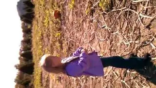 2010.10.23 Pumpkin Patch