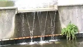 New West Quay run