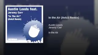 In the Air (Avicii Remix)