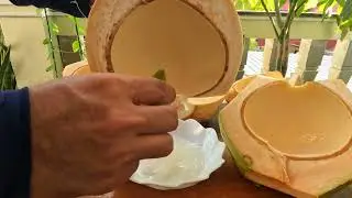 Discover the Surprising Secrets of Finding Coconut Meat | ASMR #shorts #coconutcutting